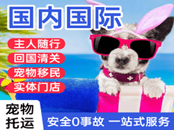 荆州沙市航空空运国际宠物托运 【国